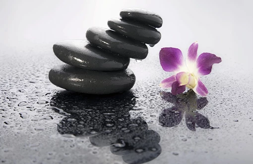 renita-atcha-therapeutic-reflexology-benefits-02