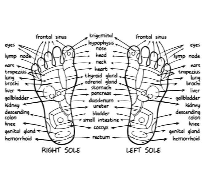 renita-atcha-therapeutic-reflexology-what-is-02